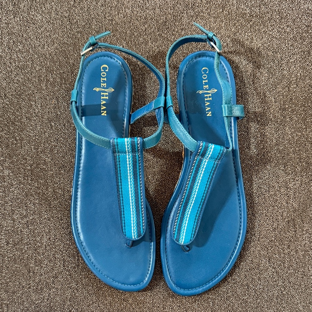 Cole Haan Women’s Turquoise Leather T-Strap Sandals With Woven Detail. 10.5